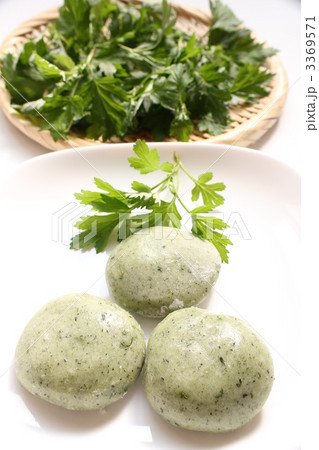 よもぎ餅と摘みたてのよもぎ よもぎ餅と摘みたてのよもぎ 3369571