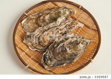 かき かき 3369687