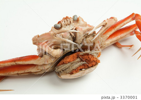 ズワイガニのメス 3370001