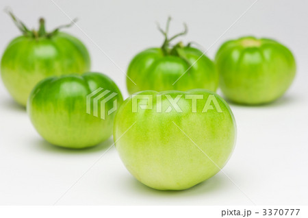 グリーントマト 3370777