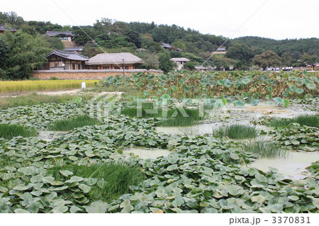 韓国 慶州 良洞村 韓国 慶州 良洞村 3370831