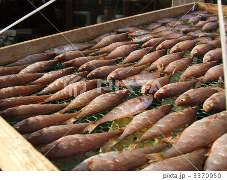 干物 3370950