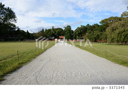 上賀茂神社、二ノ鳥居への参道 上賀茂神社、二ノ鳥居への参道 3371345