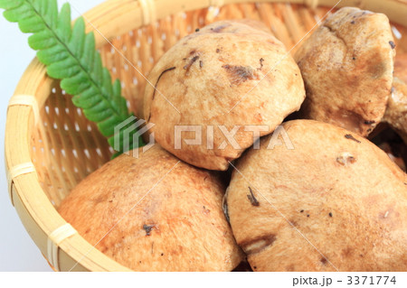 ハナイグチ 3371774