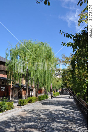 京都祇園 3372374