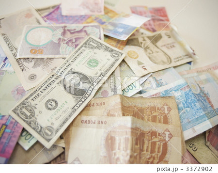 通貨31 通貨31 3372902