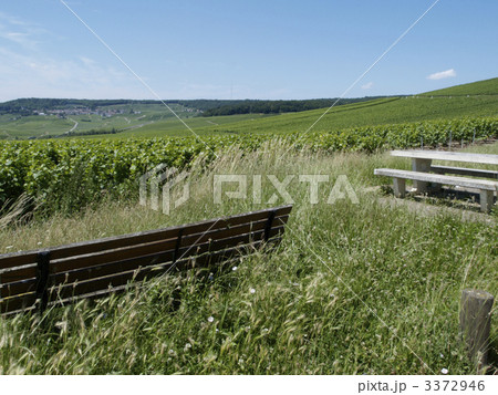 フランス６ 3372946