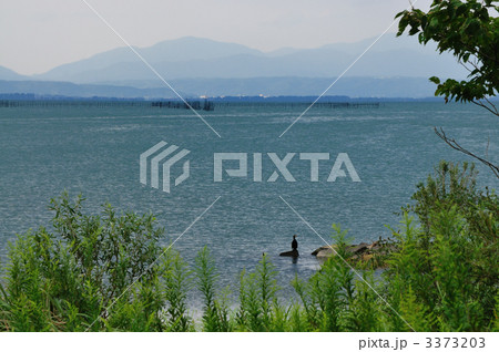 琵琶湖 琵琶湖 3373203