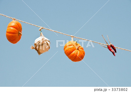 ハロウィンの魔除け 3373802