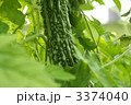 3374040