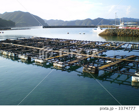 養殖用のイカダ 3374777