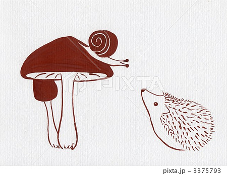 ハリネズミ 手描き 陸上動物のイラスト素材