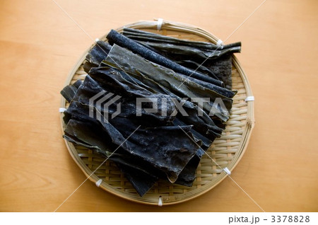 昆布 3378828