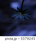 3379245