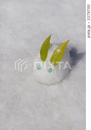 ゆきうさぎ 3379700