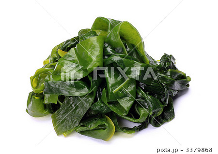 ワカメ 3379868