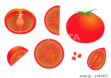 トマトのイラスト素材
