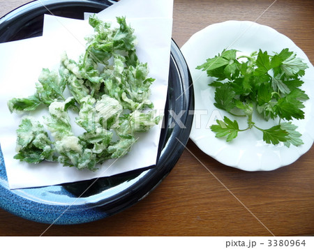 香りが口の中にひろがって美味しい　よもぎの天ぷら 3380964