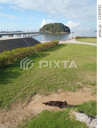 竹島全景 竹島全景 3380992