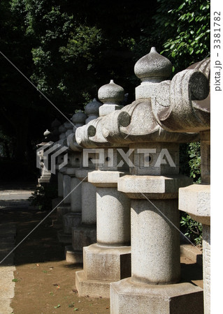 松陰神社の石灯籠 松陰神社の石灯籠 3381782