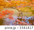 奈良公園　鹿 3381817