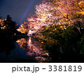 夜桜 3381819
