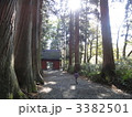 戸隠神社 3382501