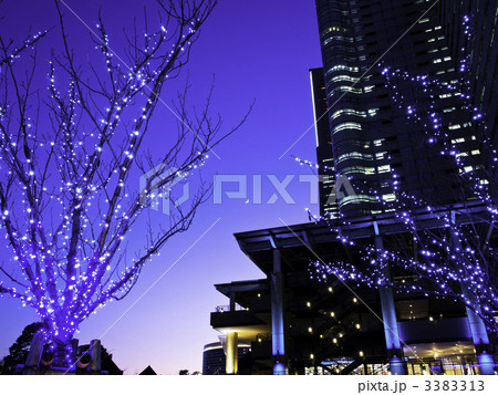 クリスマスイルミネーション(横浜市西区、横浜みなとみらい) 3383313