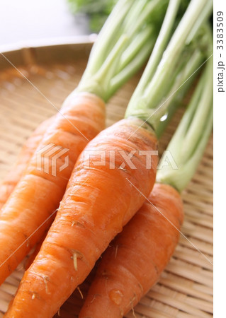 にんじん 3383509