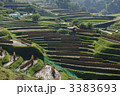 稲刈り後１３ 3383693
