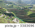 稲刈り後１６ 3383696