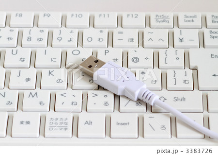 ＵＳＢ端子とキーボード 3383726