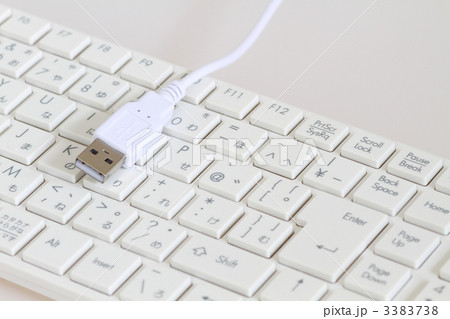 ＵＳＢ端子とキーボード 3383738
