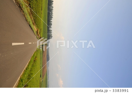 美瑛の丘の一本道 3383991