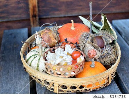 秋の味覚 秋の味覚 3384738