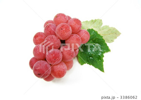赤葡萄「甲斐路」横位置水滴あり 3386062