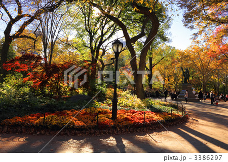 秋のセントラルパーク 3386297