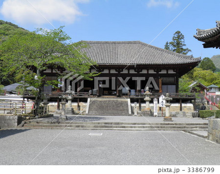 当麻寺 本堂 当麻寺 本堂 3386799