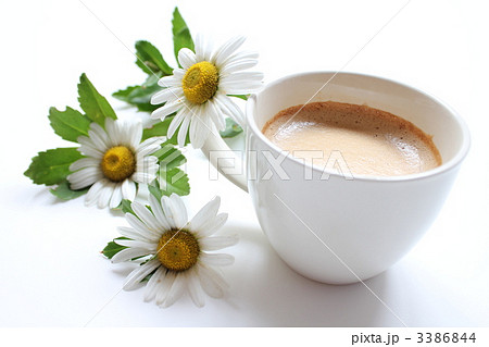 カプチーノと浜菊 3386844