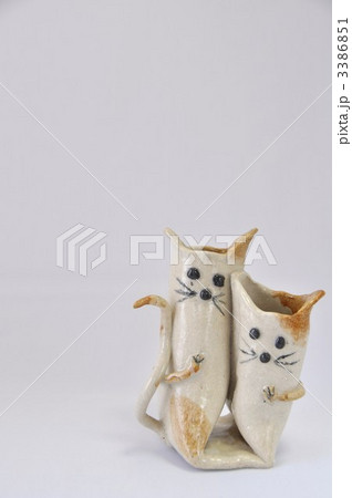 仲良し子猫 仲良し子猫 3386851