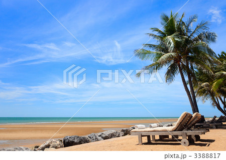 Tropical dream beach Tropical dream beach 3388817