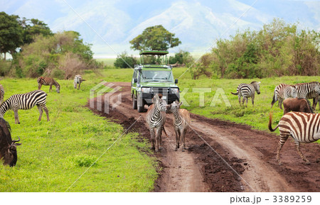 Game drive 3389259