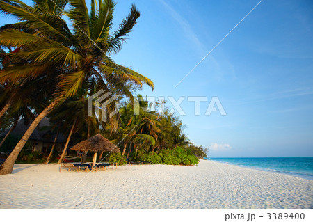 Tropical beach 3389400