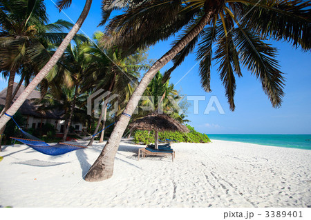 Beautiful tropical beach 3389401
