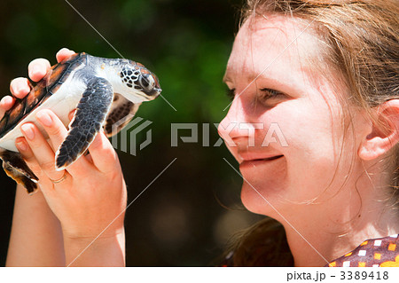 Baby sea turtle Baby sea turtle 3389418