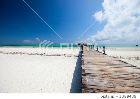 Tropical beach 3389439