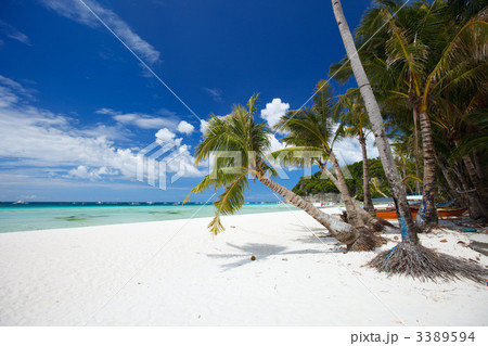 Tropical Paradise Tropical Paradise 3389594