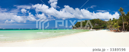 Tropical Paradise 3389596