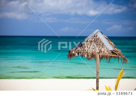 Tropical Paradise Tropical Paradise 3389673