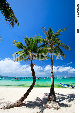 Tropical Paradise 3389680